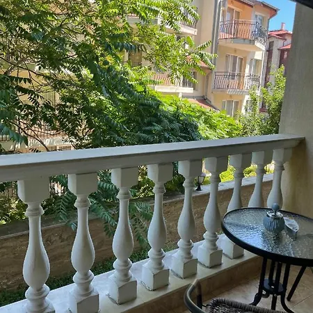 Поли Сардиния سفيتي فلاس
